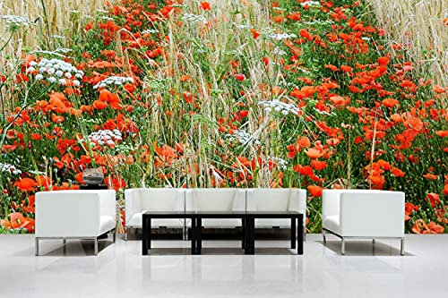 Glücksvilla - Fototapete, selbstklebend (600 x 300 cm (BxH) - div. Maße - Vlies-Tapete - Wand-Deko - Mohnfeld - Frankreich Mohn Feld Wiese Blume Natur Garten Botanik rot Fotografie x