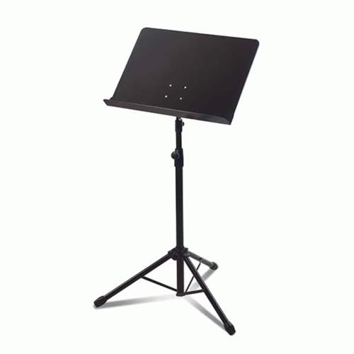 Ashton MS100SA Notenständer