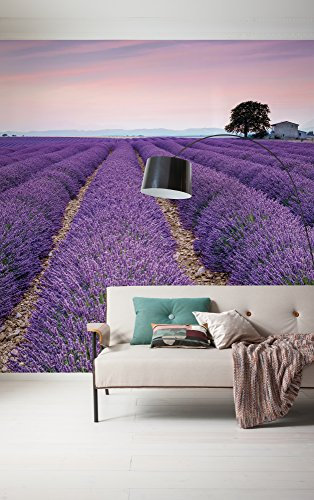Komar 036-DV3 Vlies Fototapete Provence Tapete, Wand Dekoration, Lavendel, Blüten, Landschaft, Natur-036-DV3, lila, 300 x 250 cm (Breite x Höhe), 3 Stück