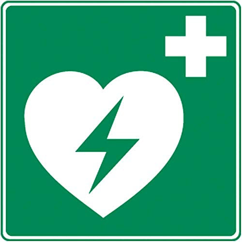 Holthaus Medical Rettungszeichen Defibrillator Schild Hinweis Tafel, nachleuchtend, 20x20cm