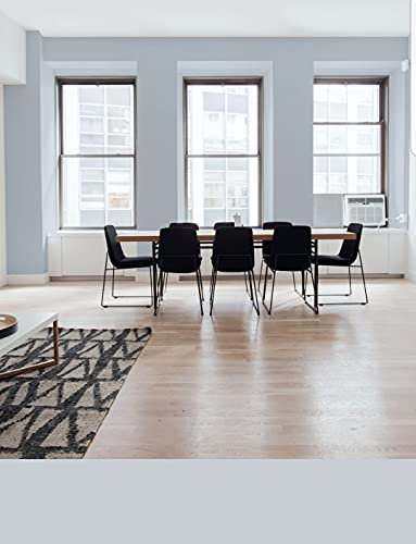 Pintura, pintura pared, pintura pared interior, pintura colores, pintura GRIS ALUMINIO, pintura exterior, pintura ECOLOGICA, SIDERAL MATE COLOR 2020 (Aluminio)