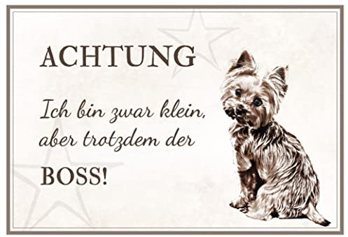 ZAUBERBILD Hundeschild Warnung | Yorkshire Terrier | Warnschild Vorsicht Hund | 25x17cm Alu