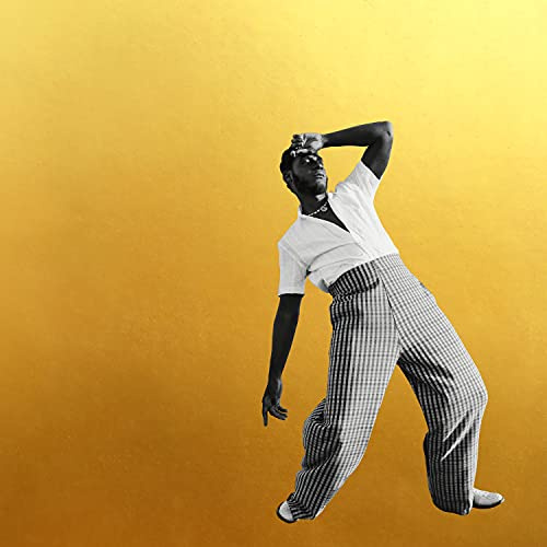 Gold-Diggers Sound [Vinyl LP]