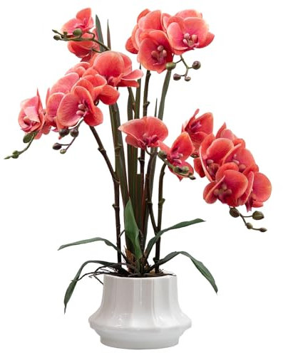 CXGS Künstliche Orchidee, 52 cm, fühlt sich echt an, in Keramikvase, Fuchsia, künstliche Phalaenopsis-Blumenarrangement, Seidenorchideen mit Stielen für Tafelaufsatz, Tisch, Heimdekoration,