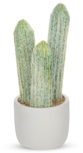 Hollyone Planta artificial de cactus con maceta de cemento, plantas artificiales tropicales en maceta para decoración del hogar, cactus sintéticos, plantas artificiales decorativas para interiores