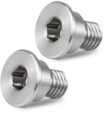 Bevinsee 2pcs Brake Disc Rotor Screw Set Replace 34211161806 Compatible with BMW E46 E90 F30 F10 F20 E87 G20 G30, Mini F55 F56 R60, 13-15 320i, 01-06 325i, 00-16 X5, Stainless Steel