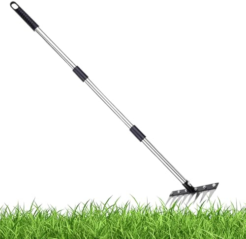 Rastrello per Prato - Rastrello da Diserbo in Acciaio Inossidabile con 8 Rebbi,Attrezzo per Cura Giardino | per Agricoltura Giardino Paesaggio Fattoria Prato All'aperto Cortile Forestale