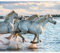 murando - Vlies Fototapete Pferde 350x256cm- Foto Tapete Schlafzimmer Wohnzimmer Moderne Vliestapete XXL Wandtapete Motivtapeten Bildtapete 3d Effekt Wand Dekoration - Tiere Galopp laufen g-B-0142-a-a