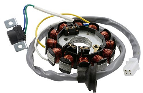 VANEZ Lichtmaschine/Stator Zündung Minarelli kompatibel für Beta Ark, MBK Mach G, Yamaha Aerox, Jog