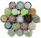 Plantas Suculentas Naturales | DECOALIVE | Pack de 5 Plantas Diferentes | Plantas Crasas