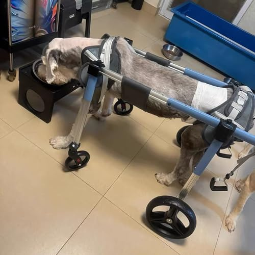 Hund Rullstol Hundrullstol med Fullt Stöd 4/2 Hjul, Justerbar Hundmobilitetsvagn för Stor Medelstor Hund, Skada Husdjur Benstödsvagn med Fram- och Bakhjul(Blue,XXL)