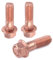 Radschrauben,Radmuttern Turbo-Stehbolzenschrauben-Flanschmuttern-Kit aus legiertem Stahl M10 x 1,5, passend Passend für T3 T4 T5 T6 Turbolader-Zubehör
