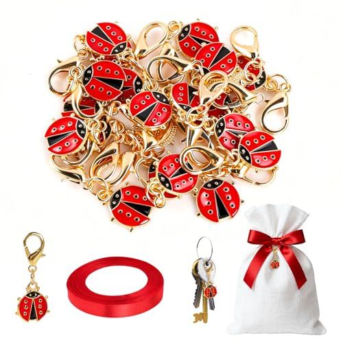 24 Stück Marienkäfer Anhänger, Marienkäfer Klein Schlüsselanhänger, Glückskäfer kleine anhänger für Geschenk Dekoration für Silvester/Weihnachten/Neujahr/Adventskalender Geschenktüten Füllungen