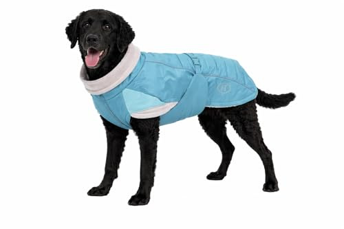 Spirit Softshell Hundemantel Pacific – Warmer, wasserabweisender Wintermantel für Hunde mit Fleece-Futter, reflektierend, verstellbar, Leinenöffnung, türkis (55cm)
