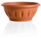 Bama Alba Ciotole con piattino, Giardinaggio, Home Garden, Colore Terracotta