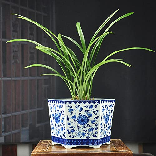 asdchZen Pot De Fleurs en Céramique De Style Chinois avec Trou De Drainage Et Soucoupe Connectée Jingdezhen Pots De Fleurs en Porcelaine Bleu Et Blanc Peints À La Main pour Plantes, C, A