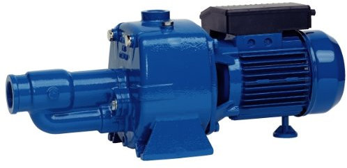 Speroni - Elettropompa autoadescante bigirante in Ottone Cam 150-1,5 HP - 1,1 kw - 240 Volt Pompa monofase
