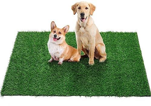 Oiyeefo Fake Grass Pee for Dog Large Artificial Grass Rug Pad for Puppy Potty Washable Grass Mat for Pet Training with Drainage Hole and Easy to Clean (59.1 x39.4Inches)