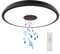 AIHONKON Schwarze wasserdichte LED Deckenleuchte, mit Bluetooth Lautsprecher,28 Zentimeter,18 Watt,2700K-6500K dimmbare Musiklampe, RGB Farbwechsel Licht mit Fernbedienung, für Badezimmer,Schlafzimmer