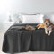 Byour3 – Tagesdecke SUPER wasserdichte Bettschutz Fleckenbeständig für Doppelbett Einzelbett Anti-Schimmel Anti-Tierhaar Katzen Hunde Haustiere Kinder Waschbare Decke (Bleigrau, Einzelbett)