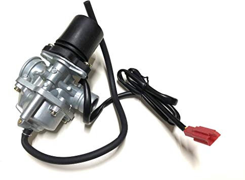12mm Vergaser mit E-Choke passend für TGB, Pegasus, Acros, Bullet, Sky Hook - Für 2-Takt Roller