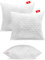 Softimi Gestepptes Premium Kissen 2er Set 60x80 cm Antiallergisch - Anti-Milbe - Geruchlos sofort verwendbar - Mit Härteeinstellung (2er Set 60x80 cm)