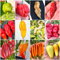 120 Semi Peperoncino In 12 Varietà Delle Più PICCANTI Del Mondo, Collezione 3 + Guida: CAROLINA REAPER MUSTARD, REAPER MORUGA, BHUT JOLOKIA, FATALII, HABANERO, AJI, THAI PEPPER, JALAPENO WHITE