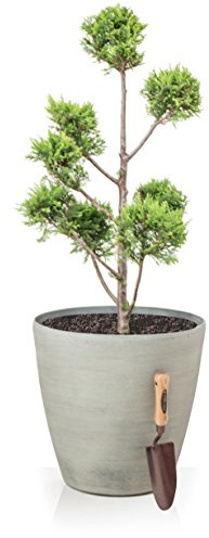 Primrose Cone Planter Frost Resistant & Lightweight Cortina Stone 41cm x 43cm (16.1in x 16.9in)