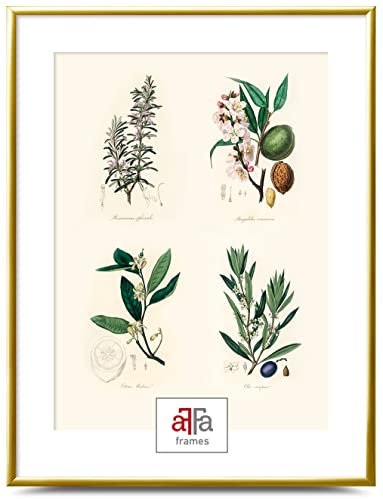aFFa frames Plastik Bilderrahmen, photo frame, klassisches Design Geeignet für Bilder Poster Diplome bilderrahmen 50x70 cm Farbe Gold