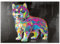MyPuzzle Pop Colors Husky - Premium 1000 Teile Puzzle - MyPuzzle Sonderkollektion von Puzzle Galaxy