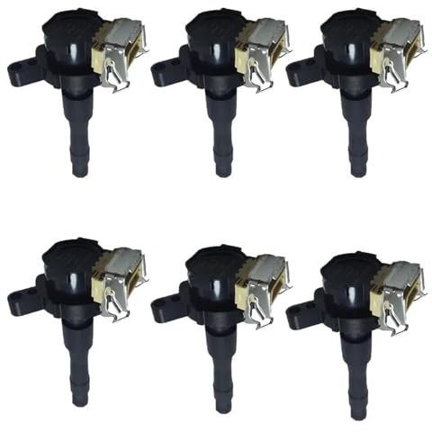 SRQORT Zündspule 6 Zündspule Für E46 E39 520i 523i 525i 528i 530i 535i 540i Für M5 320i 323i 325i 330i Für M3 OE 0221504004 12131748018 Motore Zündspule