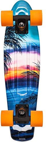 D Street Unisex Longboard Poly Cruiser Sunset DST-COM-0103 23 x 6 Multi
