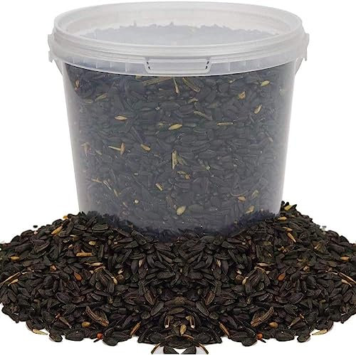 BusyBeaks Black Oil Sunflower Seeds | Premium Quality Garden Wild Bird Food | Full of Protein, Rich in Oil Mix | Nutritious, High Energy Mixture | Perfect Year-Round Feeding for Birds (1L Tub)