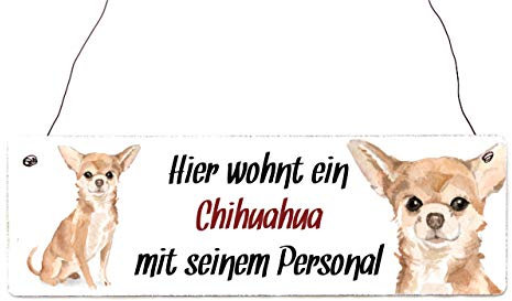 Interluxe Holzschild - Hier wohnt EIN Chihuahua - Dekoschild, Türschild oder Hundeschild als Mitbringsel für Menschen mit Hund