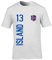 FanShirts4u Herren Fan-Shirt Jersey Trikot - Island/Iceland - T-Shirt inkl. Druck Wunschname & Nummer WM EM (5XL, Island/weiß)