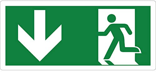 pubblimania Salida de emergencia adhesivo PVC resistente para exterior e interior (29 x 13 cm) (flecha baja)