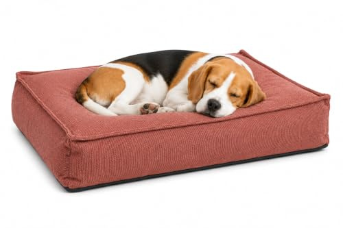 Hundebett - Katzenbett - Baleno Rechteck Rot - 80 x 60 x 18 cm - Abnehmbarer Bezug - Waschbar bei 30 °C - Flamingo