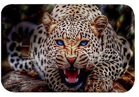 A.Monamour Badematten Badteppiche Badvorleger Blauäugig Wütend Leopard Portrait Tierliebhaber Dekore Flanellgedächtnisschaum rutschfeste Badteppiche Badmatte Runner Teppiche Türmatte 40x120cm