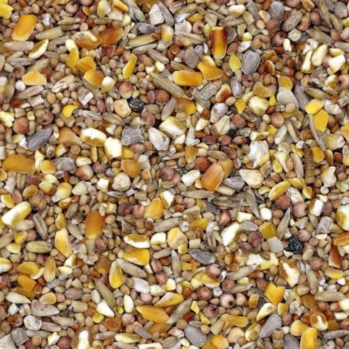 Bamfords Robin & Songbird Wild Bird Food No Mess Seed Mix 20kg