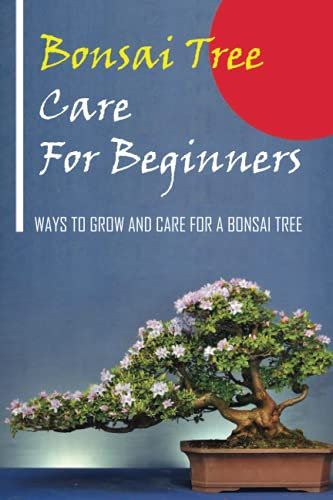 Bonsai Care Guide: Everything You Need To Know On How To Grow And Care For Bonsai Tree: Bonsai For Begineers