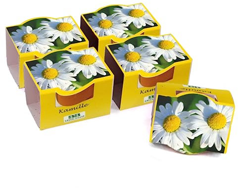 Bull & Bear 5er Set Mini Pflanzset mit Kamille Samen im Topf 4,5cm, Kamillesamen als Anzuchtset mit Pflegeanleitung
