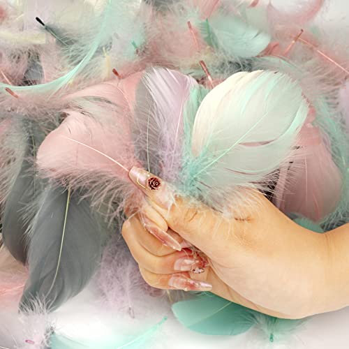 SUNRIZ Federn zum Basteln, 300 Stück Bunte Federn,Natürliche Gans Federn für DIY Ohrring,Hochzeiten,Traumfängerfedern, Diademfedern, Schulbasteln
