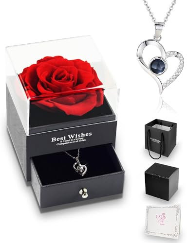 Andizun Preserved Rose Gifts for Her, Gift Box with I Love You Necklace, Handmade Eternal Real Rose for Woman Wife Girlfriend Mother on Birthday, Anniversary, Valentine's Day, Mother's Day, Christmas