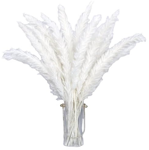 MHDAMAI Herbe de Pampa séchée, 30 Bouquet de Fleurs Séchées Roseau de Pampa Blanc pour Intérieur