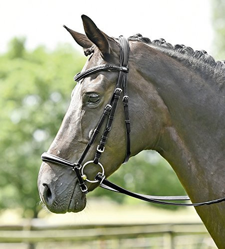 BUSSE solibel Trense HEIDELBERG Warmblut, schwarz/Kristall-silber