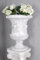 Prunkvase Barock Amphore Pflanzenpokal wetterfest Vase Blumenkübel Antik Stil yac011 Palazzo Exclusiv