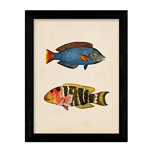Nacnic Druck zwei blauen Fisch, rot, gelb und orange in der Größe A3 Poster Papier Hintergrund Vintage-Papier 250 gr hohe Qualität. Frameless