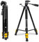 KODAK PhotoGear,Trípode ligero de 62 pulgadas,Trípode compacto de aluminio con cierre abatible de 3 secciones que se ajusta de 22 a 62 pulgadas, estuche de transporte, guía electrónica