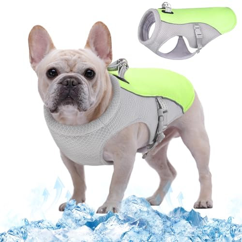 Kuoser Kühlweste für Hunde, Hundekühlungsmantel für heiße Sommertage, Atmungsaktive & Reflektierende Sicherheitsweste für Klein Mittel Hunde, Kühljacke für Aktivitäten Draußen Wandern Training
