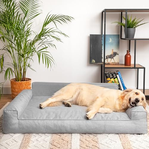 PillowPrim Hundebett, Haustiermatratze, Katzenbett, Hundekissen, Hundekorb, Hundesofa, Liegeplatz für Hund, Orthopädische, Asche, 55 cm, Grau, 98x66 cm